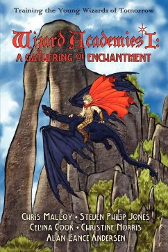 Wizard Academies I - A Gathering of Enchantment - Alan Lance Andersen, Edited By