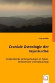 Craniale Osteologie der Tayassuidae