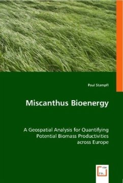Miscanthus Bioenergy - Stampfl, Paul