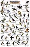 Mac's Field Guides: Southwest Park/Garden Birds