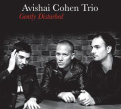 Gently Disturbed (Re-Release) - Cohen,Avishai Trio