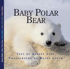 Baby Polar Bear - Lang, Aubrey