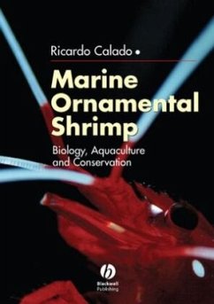 Marine Ornamental Shrimp - Calado, Ricardo