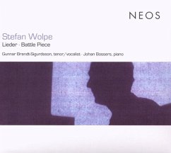 Cover Lieder/Battle Piece