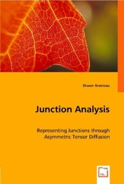 Junction Analysis - Arseneau, Shawn