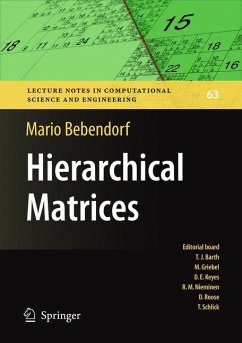 Hierarchical Matrices - Bebendorf, Mario