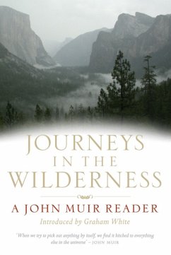 Cover Journeys in the Wilderness