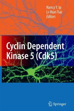Cyclin Dependent Kinase 5 (Cdk5) - Ip, Nancy Y. / Tsai, Li-Huei (eds.)