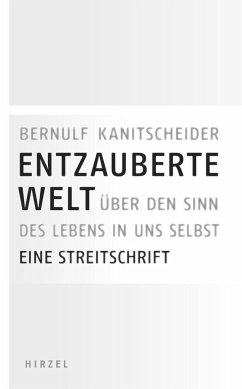 Entzauberte Welt - Kanitscheider, Bernulf