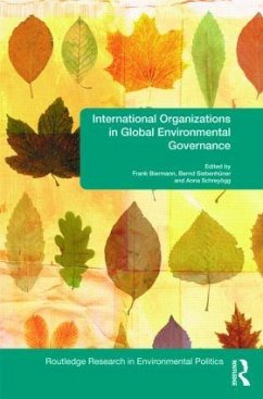 International Organizations in Global Environmental Governance - Biermann, Frank / Schreyögg, Anna / Siebenhuener, Bernd (eds.)