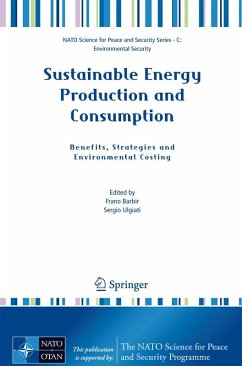 Sustainable Energy Production and Consumption - Barbir, Frano / Ulgiati, Sergio (eds.)