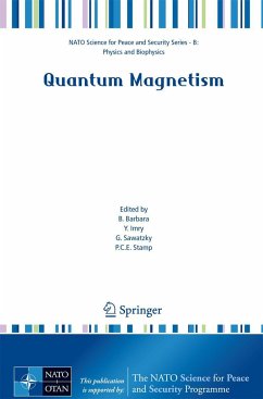 Quantum Magnetism - Barbara, Bernard / Imry, Yosef / Sawatzky, G. / Stamp, P.C.E. (eds.)