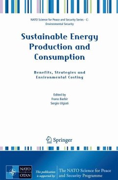 Sustainable Energy Production and Consumption - Barbir, Frano / Ulgiati, Sergio (eds.)