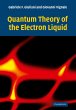 Quantum Theory of the Electron Liquid - Bild 1