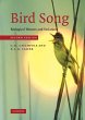 Bird Song - Bild 1