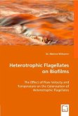 Heterotrophic Flagellates on Biofilms