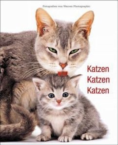 Katzen Katzen Katzen - Burton, Jane