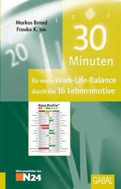 30 Minuten für mehr Work-Life-Balance durch die 16 Lebensmotive - Ion, Frauke K; Brand, Markus
