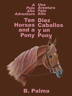 10 Horses and a Pony - Palma, B.