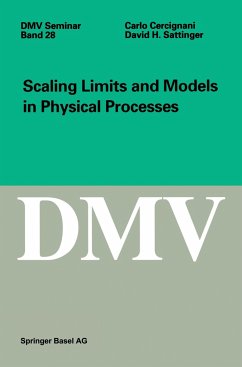 Scaling Limits and Models in Physical Processes - Cercignani, Carlo; Sattinger, David