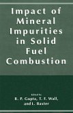 Impact of Mineral Impurities in Solid Fuel Combustion