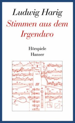 Cover Stimmen aus dem Irgendwo, m. Audio-CD / Gesammelte Werke Bd.3