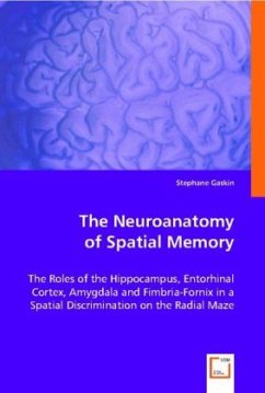 The Neuroanatomy of Spatial Memory - Gaskin Ph.D, Stephane