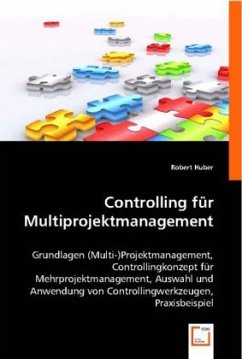 Controlling für Multiprojektmanagement - Huber, Robert