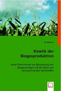 Kinetik der Biogasproduktion - Mähnert, Pia
