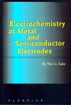 Electrochemistry at Metal and Semiconductor Electrodes - Sato, Norio