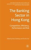 The Banking Sector in Hong Kong: Competition, Efficiency, Performance and Risk