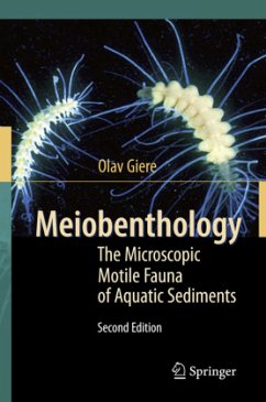 Meiobenthology - Giere, Olav