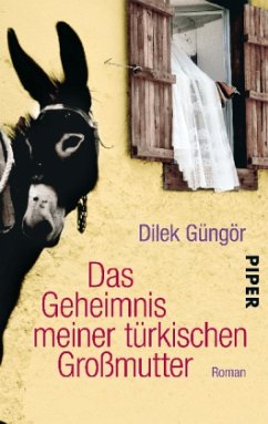 Das Geheimnis meiner türkischen Großmutter - Güngör, Dilek