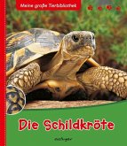 Die Schildkröte / Meine große Tierbibliothek