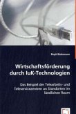 Wirtschaftsförderung durch IuK-Technologien