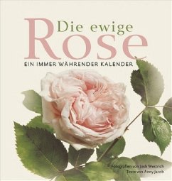 Die ewige Rose: Ein immer währender Kalender - Anny Jacob