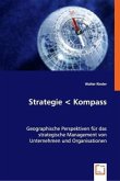 Strategie Kompass