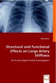 Structural and Functional Effects on Large Artery Stiffness