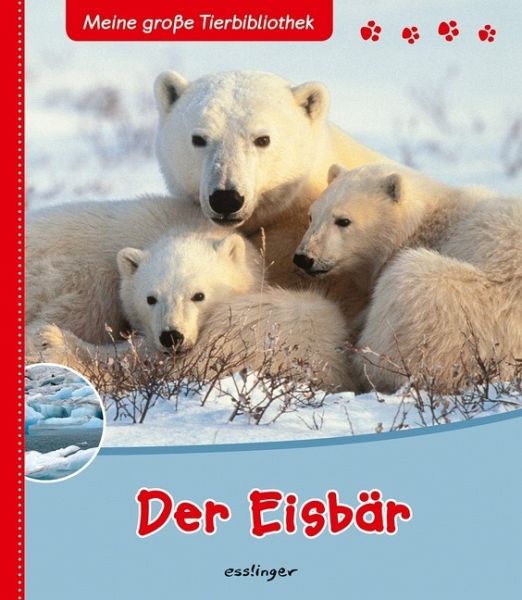 Der Eisbär portofrei bei bücher.de bestellen