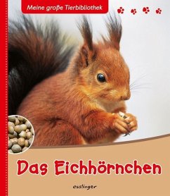 Das Eichhörnchen / Meine große Tierbibliothek