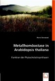 Metallhomöostase in Arabidopsis thaliana