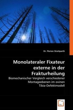 Monolateraler Fixateur externe in der Frakturheilung - Streitparth, Florian