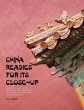 CHINA READIES FOR ITS CLOSE-UP - Bild 1