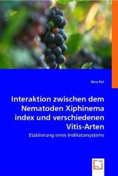 Interaktion zwischen dem Nematoden Xiphinema index und verschiedenen Vitis-Arten - Feil, Nina