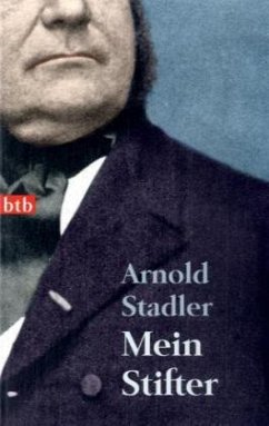 Mein Stifter - Stadler, Arnold