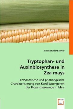 Tryptophan- und Auxinbiosynthese in Zea mays - Kriechbaumer, Verena