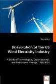 (R)evolution of the US Wind Electricity Industry