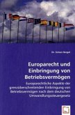 Europarecht und Einbringung von Betriebsvermögen