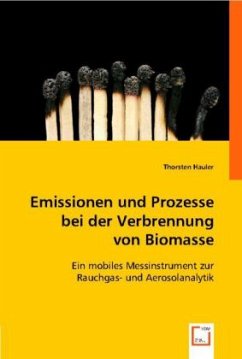 Emissionen und Prozesse bei der Verbrennung von Biomasse - Hauler, Thorsten