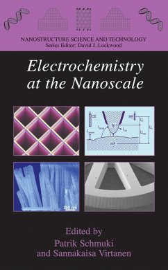 Electrochemistry at the Nanoscale - Schmuki, Patrik / Virtanen, Sannakaisa (ed.)